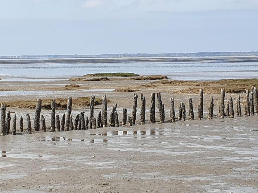 Studio Mit Meerblick Und Grosser Loggia - Direktzugang Zur Nordsee 빌헬름스하펜 외부 사진